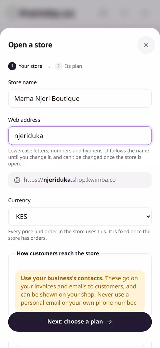 Store name and web address