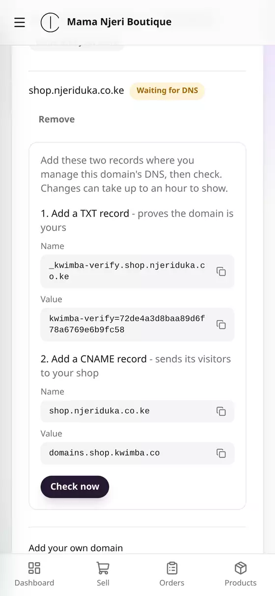 The two DNS records